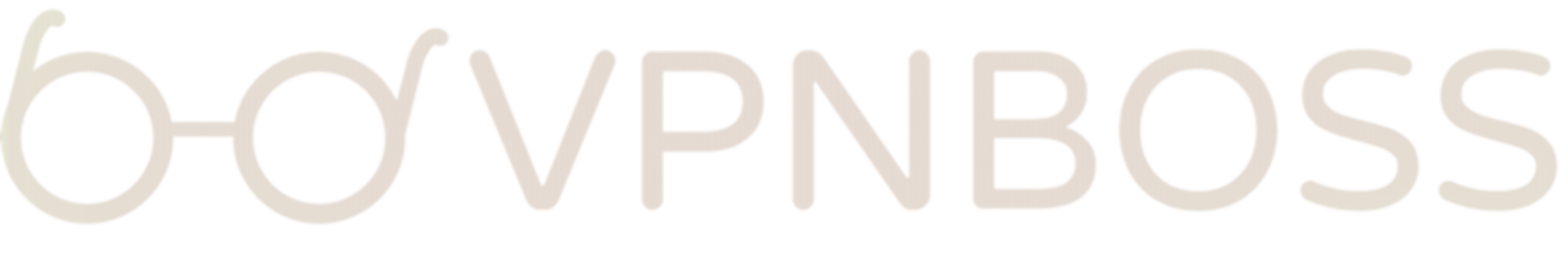 VPNBOSS
